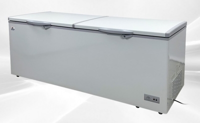 77 Inch Horizontal Double Doors Freezer 24 Cu Ft Rental for rent in Gans, OK