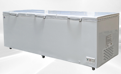 105 Inch Chest Freezer Huge Largest 42 Cu Ft Rental for rent in Progreso Lakes, TX