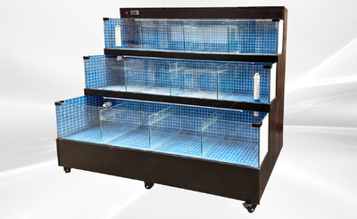 80 inches Sea Water Seafood Lobster Display Case 220v Rental for rent in Fairview, UT